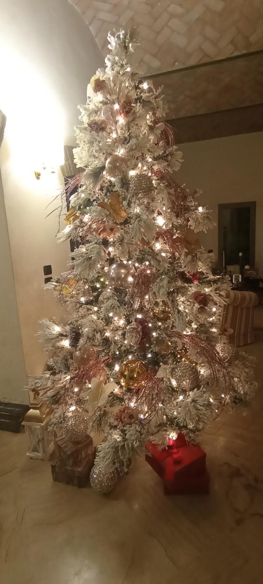 كابري B&B Villa Delle Palme المظهر الخارجي الصورة